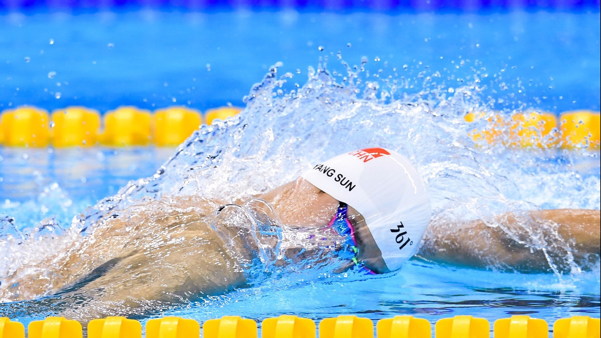 美国马术协会与非洲马术协会开展技术援助项目，提升当地水平。